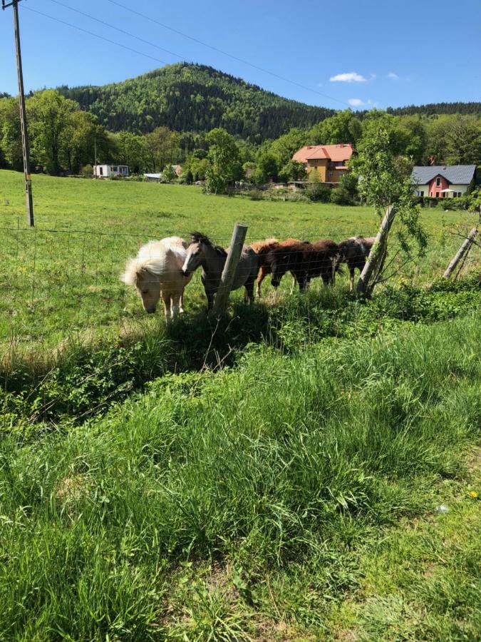Dom Gorski Do Wynajecia 3 Km Od Karpacza Sudecka 100 Милкув Экстерьер фото